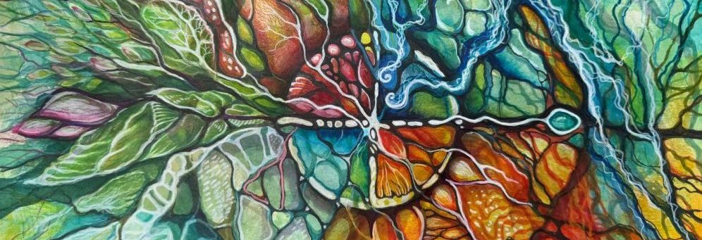 Obrázek WhatsApp, 2025-06-26 v 15.11.51_a2b286ea