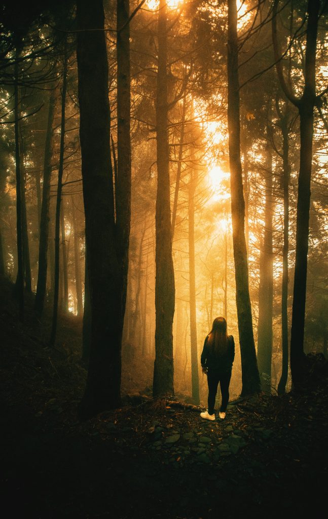 jak dosáhnout duchovního růstu